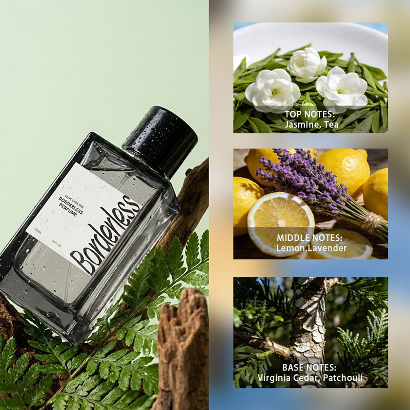 Luxury Borderless Men Perfume  - Perfume Jasmine Fragrance ulasan dan harga
